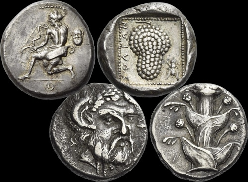 grappe de raisin et sylphium