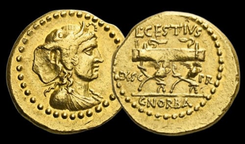 aureus roain africa